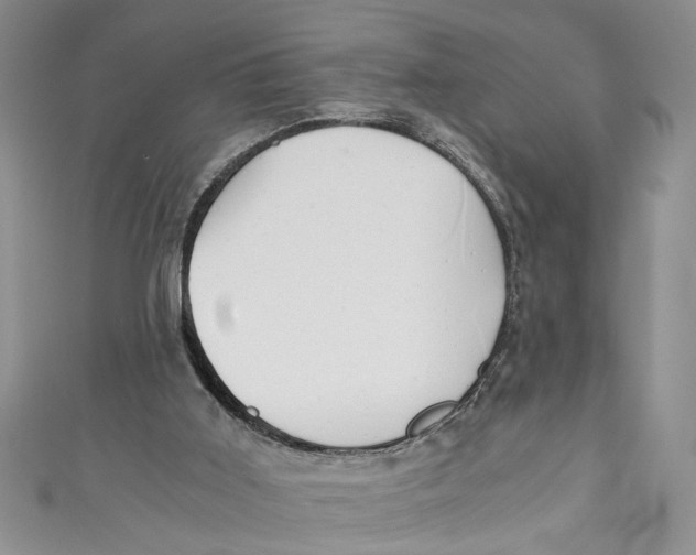 X0000111030011200907161334