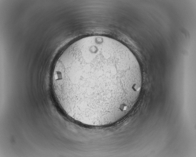 X0000111030012200907161334