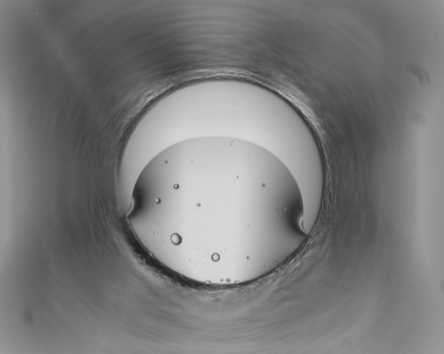 X0000111030013200907161334