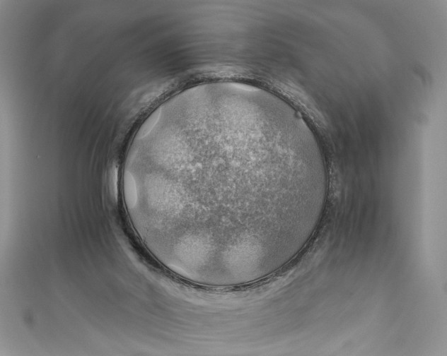 X0000111030014200907161334