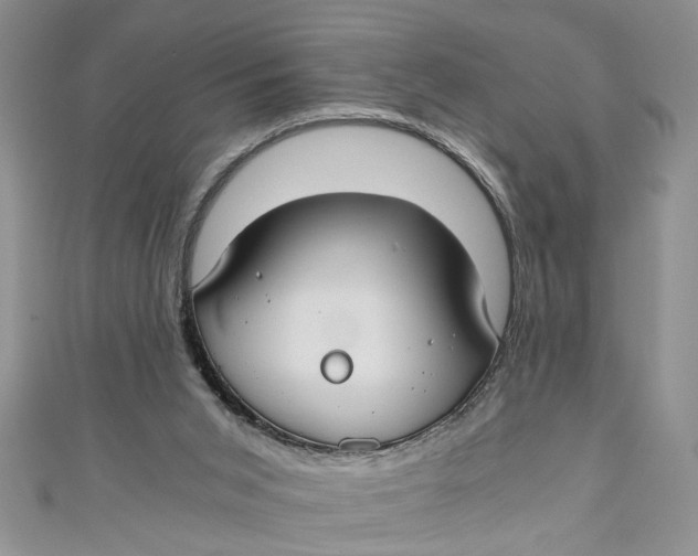 X0000111030015200907161334