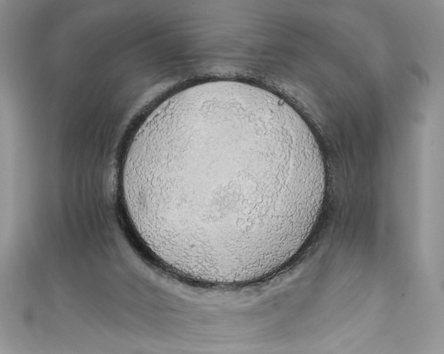 X0000111030016200907161334