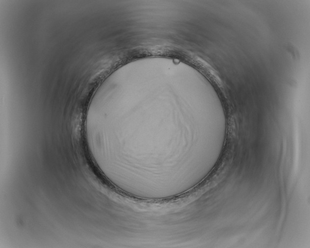 X0000111030018200907161334