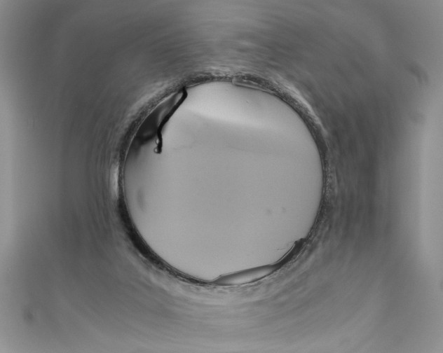 X0000111030019200907161334