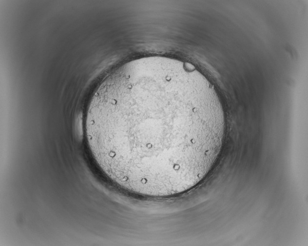 X0000111030020200907161334