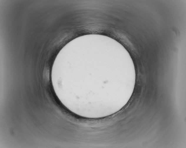 X0000111030021200907161334