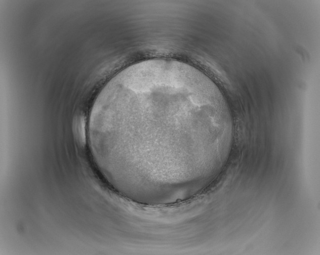 X0000111030022200907161334