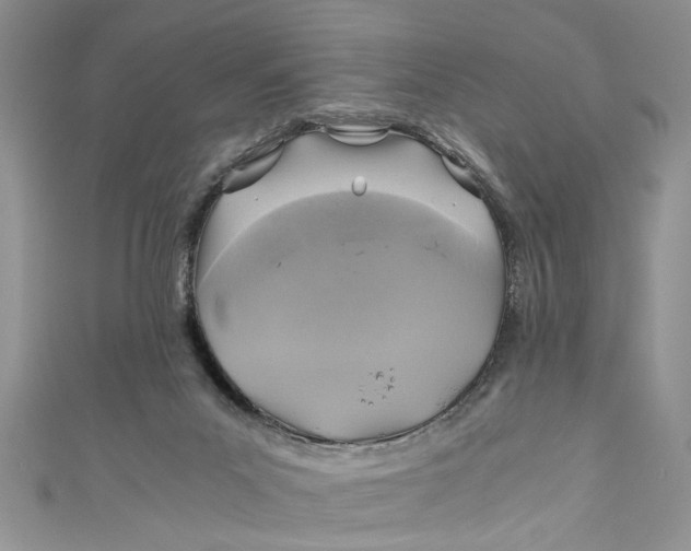 X0000111030023200907161334