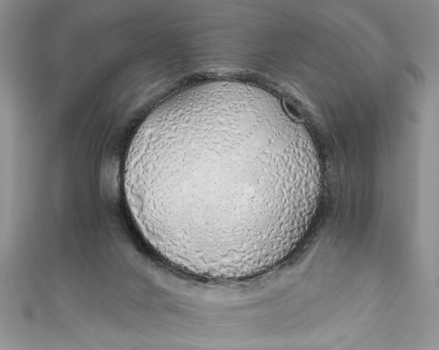 X0000111030024200907161334