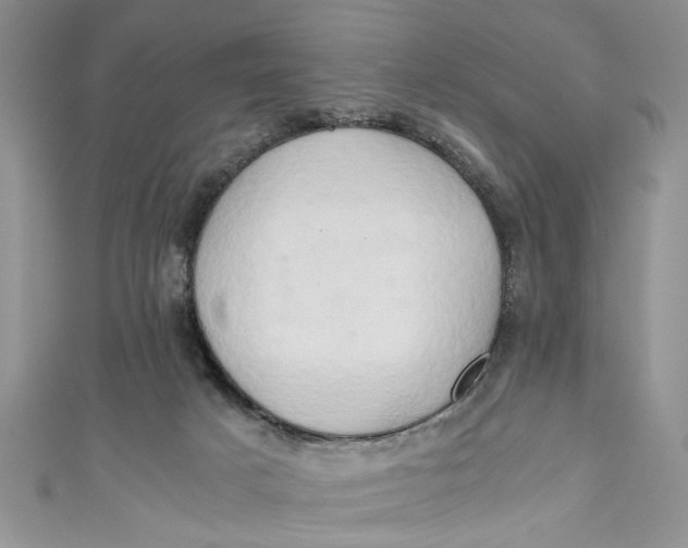 X0000111030025200907161334