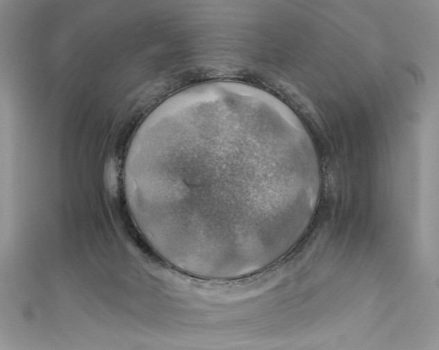 X0000111030026200907161334