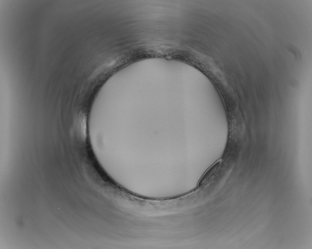 X0000111030027200907161334