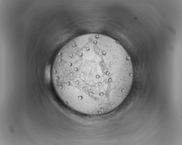 X0000111030028200907161334