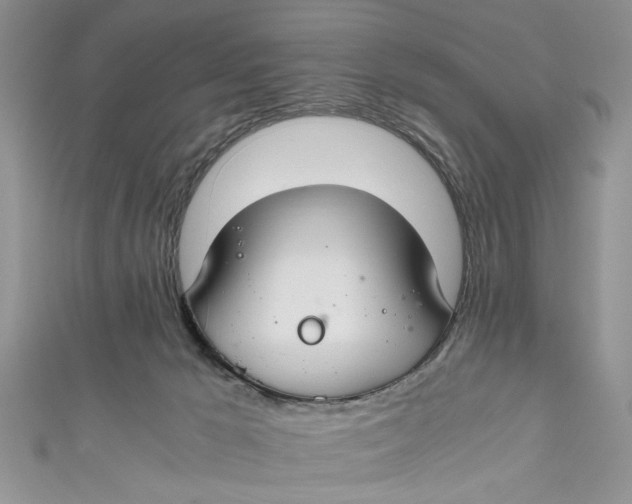 X0000111030029200907161334