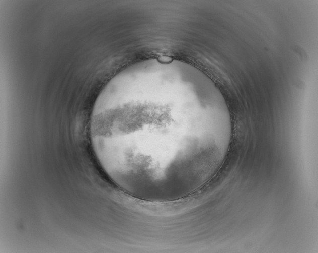 X0000111030030200907161334