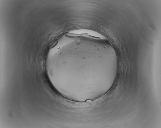 X0000111030031200907161334