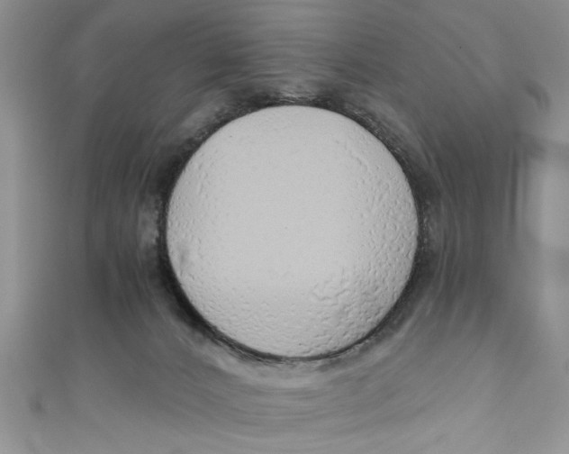 X0000111030032200907161333