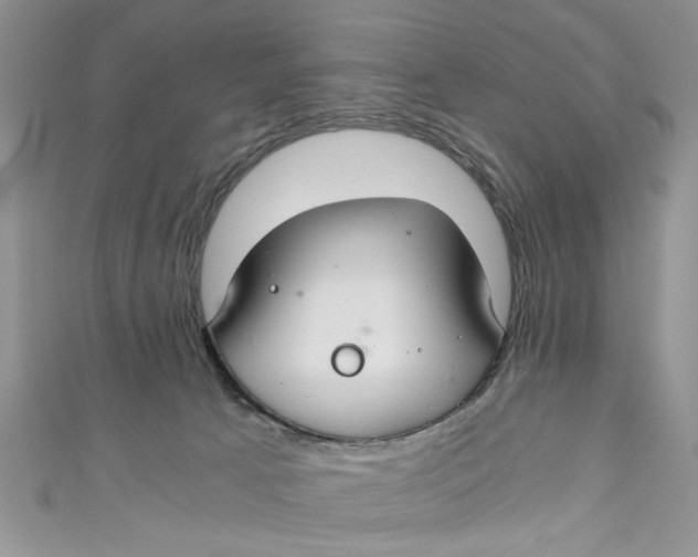 X0000111030033200907161333