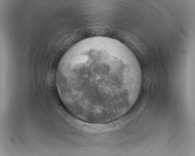 X0000111030034200907161333