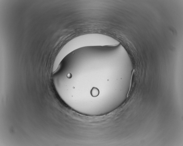 X0000111030035200907161333