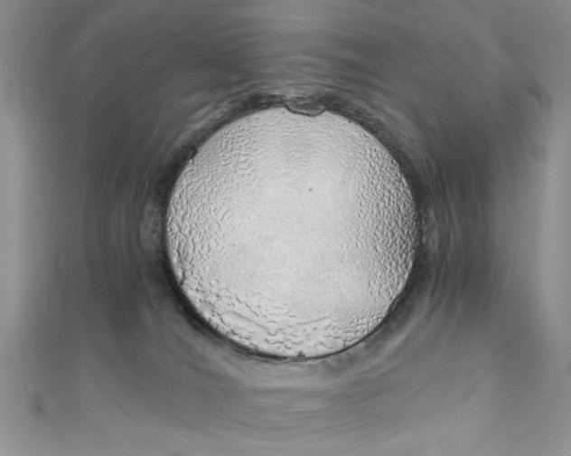 X0000111030036200907161333