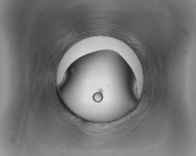 X0000111030037200907161333