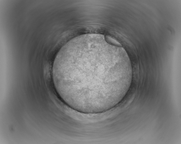 X0000111030038200907161333