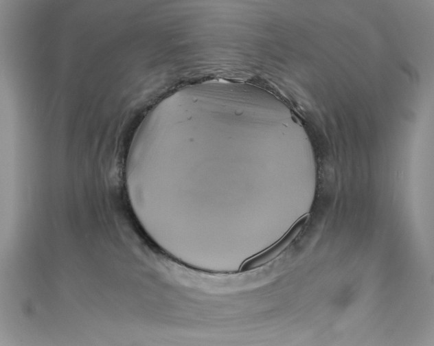 X0000111030039200907161333