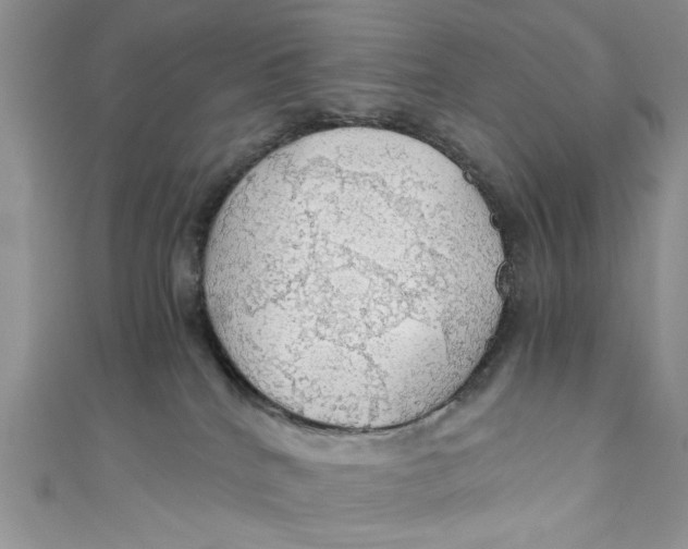 X0000111030040200907161333