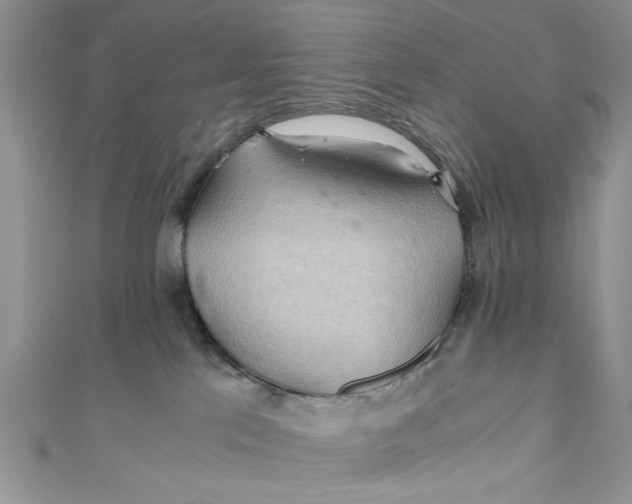 X0000111030041200907161333