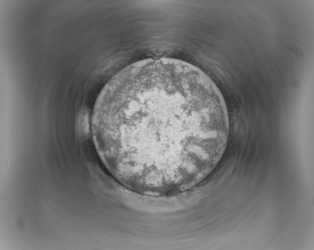 X0000111030042200907161333