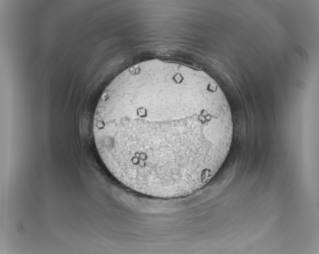 X0000111030044200907161333