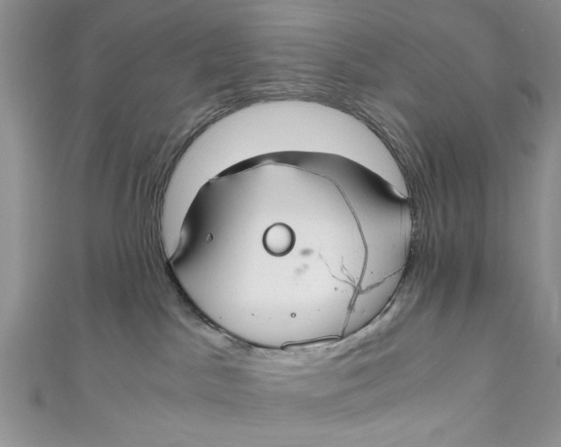 X0000111030045200907161333