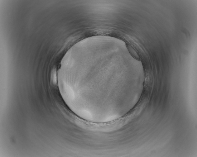 X0000111030046200907161333