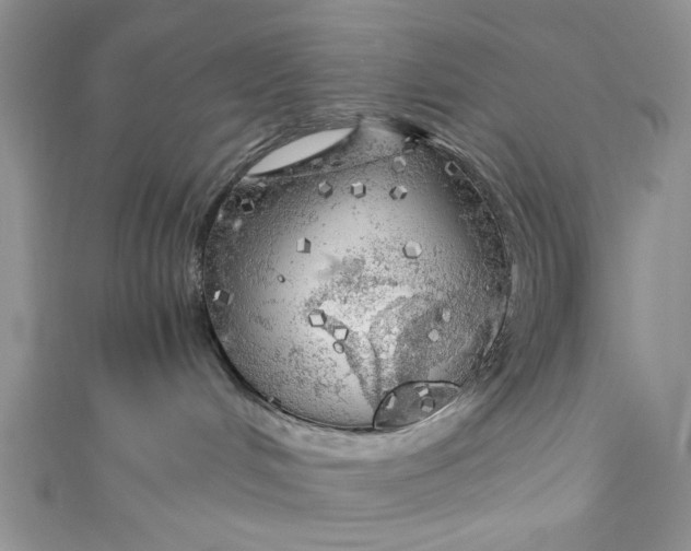 X0000111030048200907161333