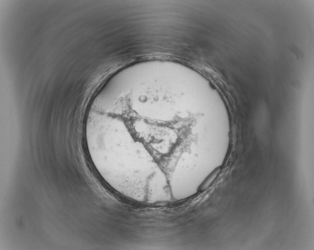 X0000111030049200907161333