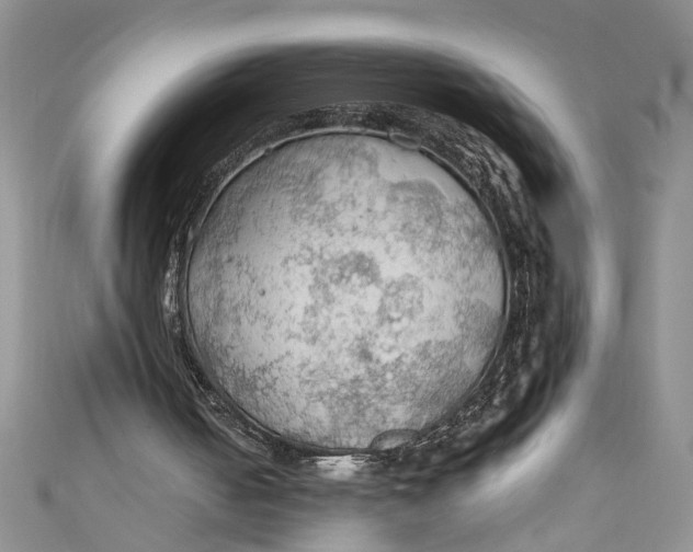 X0000111030050200907161333