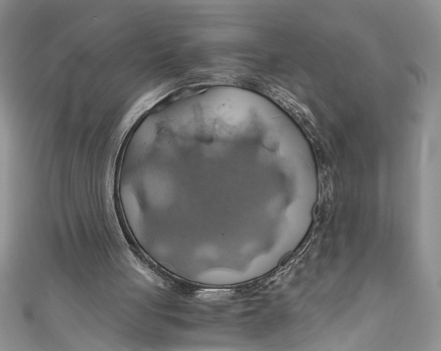 X0000111030051200907161333