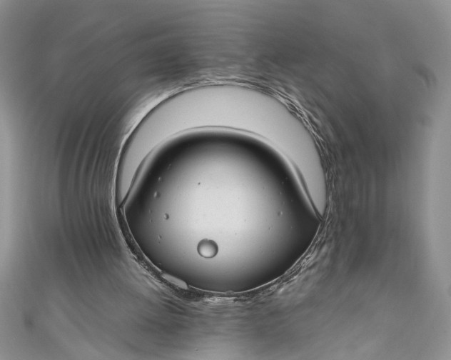 X0000111030052200907161333