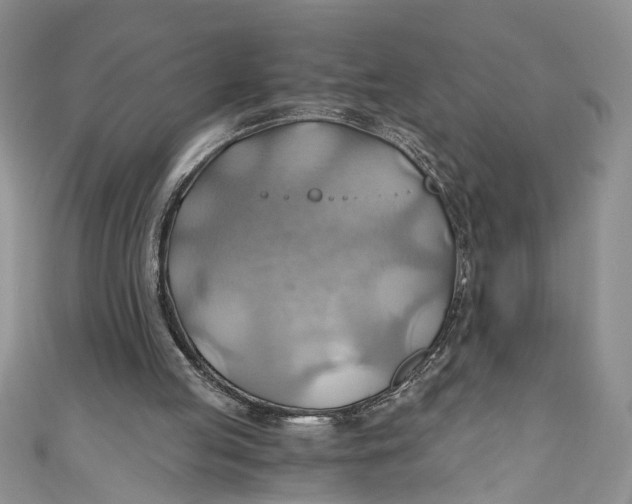 X0000111030053200907161333