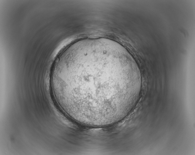 X0000111030054200907161333