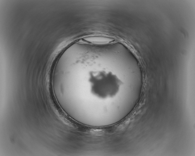 X0000111030055200907161333