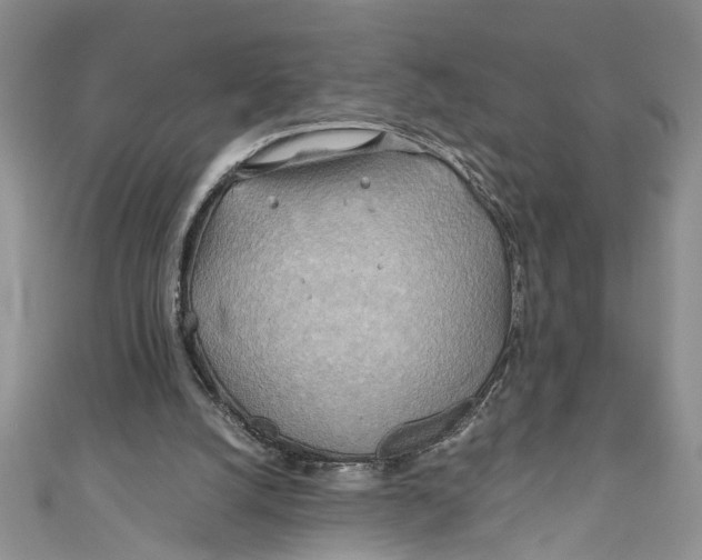 X0000111030056200907161333