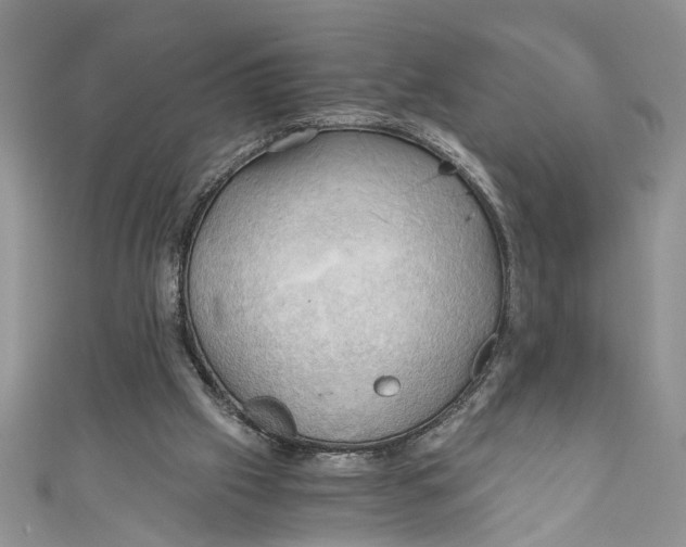 X0000111030057200907161333