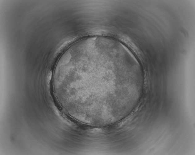 X0000111030058200907161333