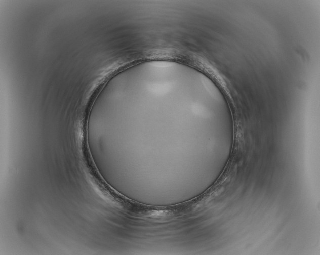 X0000111030059200907161333