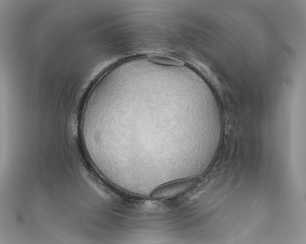 X0000111030060200907161333