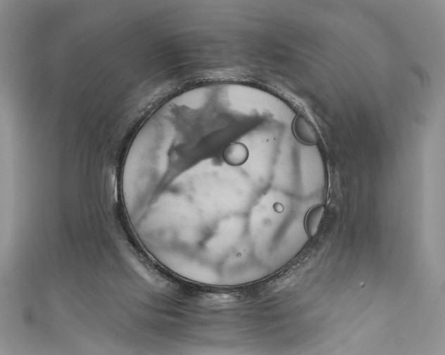 X0000111030061200907161333