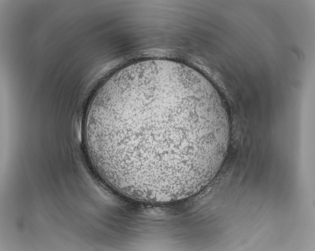 X0000111030062200907161333