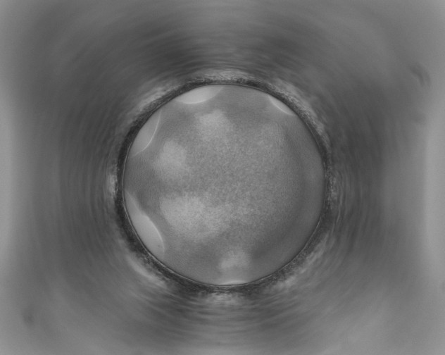 X0000111030063200907161333